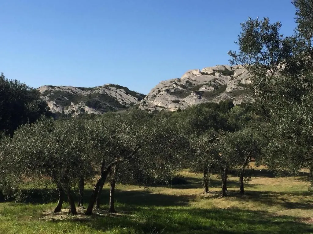 Hotel L'Oasis En Provence Tarascon